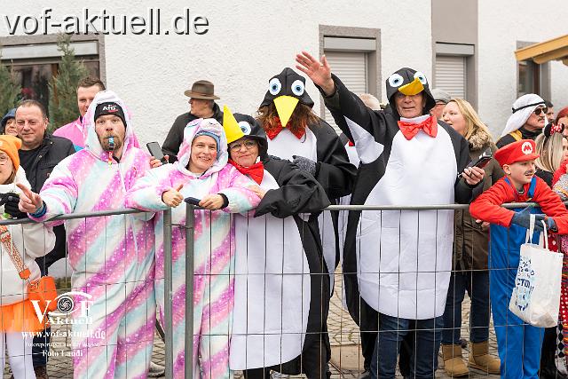 Foto Laudi_faschingszug_pleinting-112.jpg